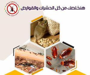 Control all insects and rodents 