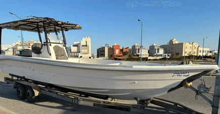 Royal Craft 33 feet for sale 