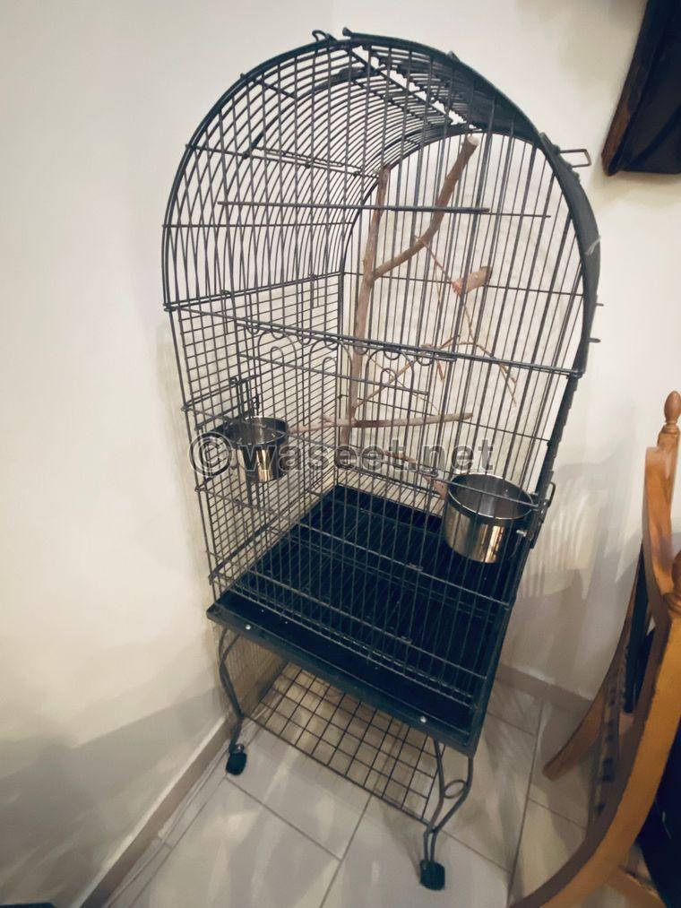 Parrot Cage for sale  1