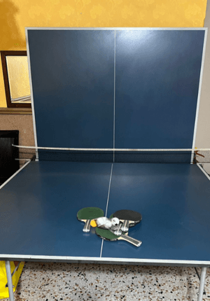 ping pong table for sale  