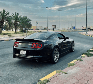  Ford Mustang GT model 2014 for sale 