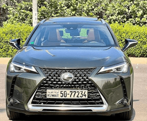 Lexus UX200 model 2019 for sale
